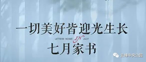 云峰·中央公园7月家书|仲夏意正浓 安家值此时