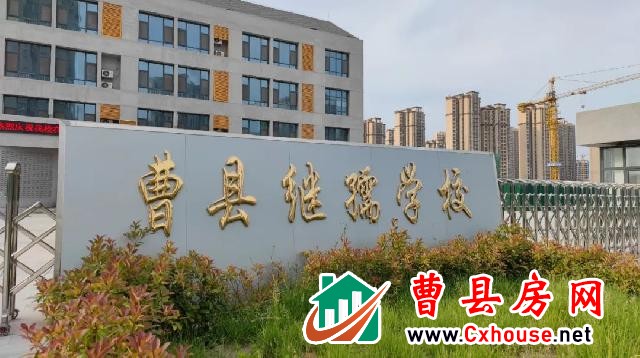 中用·铂悦府丨返乡置业 让心不在漂泊，让爱有家可归